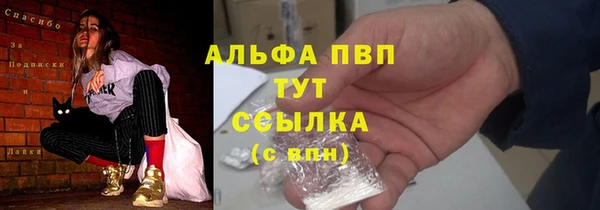 крисы Баксан