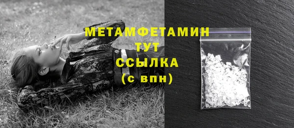 крисы Баксан