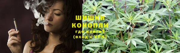 крисы Баксан