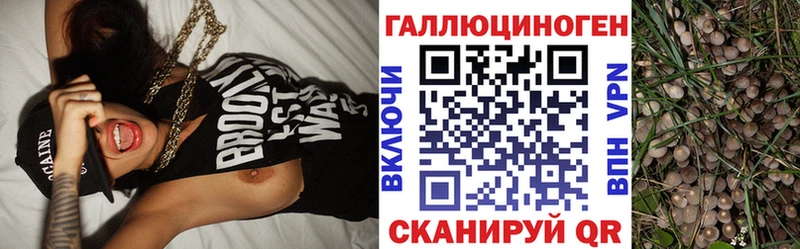 Псилоцибиновые грибы ЛСД  Купить где  Тюкалинск 